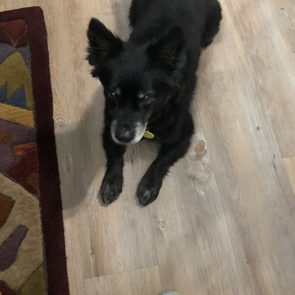 Meet your Posher, Margaret - Picture 1 of 2